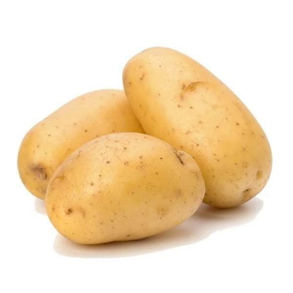 Salt Potato 1 kg - Shop Your Daily Fresh Products - Free Delivery 