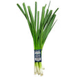 Spring Onion Piece - Palmyra Orders
