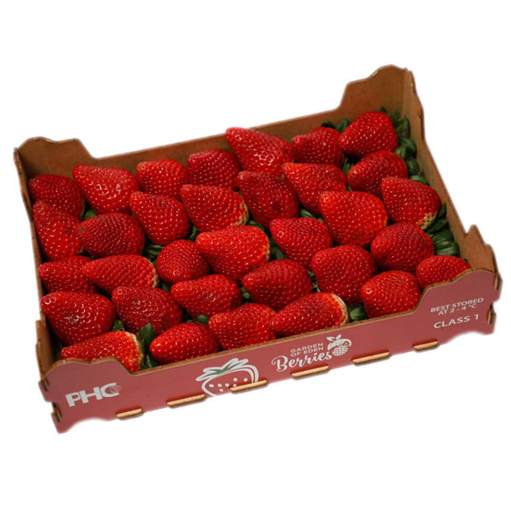 Strawberry South Africa pkt - Shop Your Daily Fresh Products - Free Delivery 