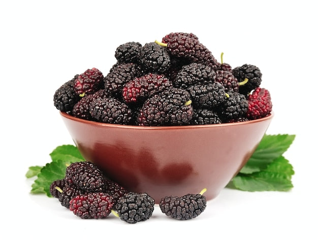  fresh Syrian mulberries, vibrant in color, plump, and juicy, displayed in a natural setting, showcasing their rich flavor and premium quality.