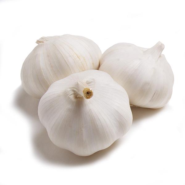 syrian Garlic-500g - Palmyra Orders