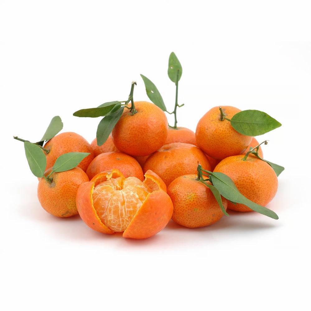 Tangerine Mandarines 1kg - Shop Your Daily Fresh Products - Free Delivery 