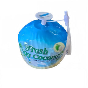 Tender Coconut Vietnam 1pc - Palmyra Orders