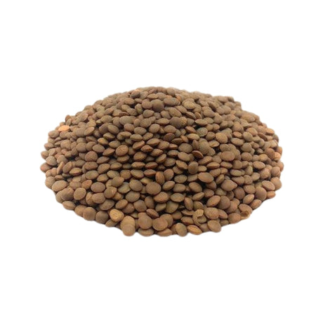 Organic Whole Brown Lentils, 500g in Palmyra Orders UAE.