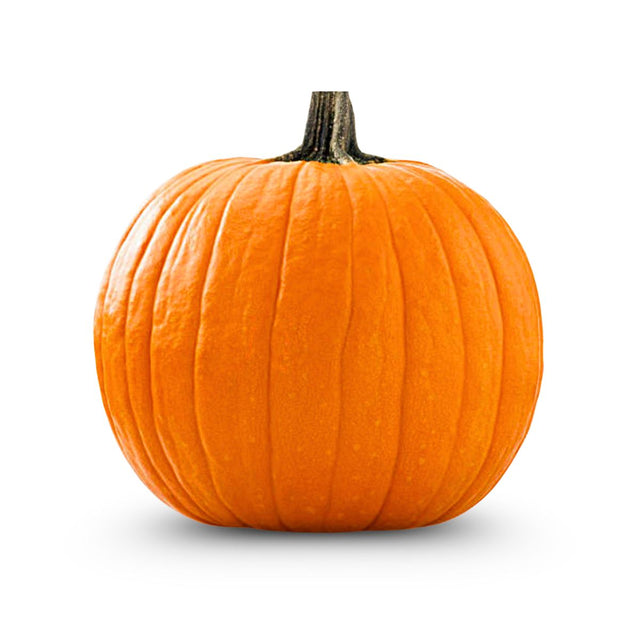 Fresh Whole Pumpkin, 3kg - 5kg on a white background