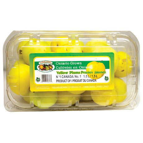 Yellow Plums Pkt - Shop Your Daily Fresh Products - Free Delivery 